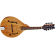 Ortega mandolin RMA5NA
