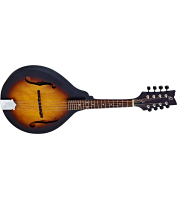 Ortega mandolin RMA5VS