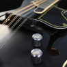 Ortega mandolin RMFE40SBK