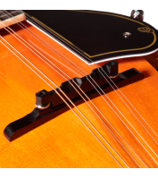 Ortega mandolin RMF50VY