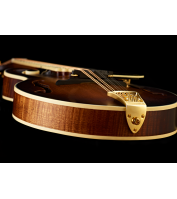 Ortega mandolin RMF100AVO