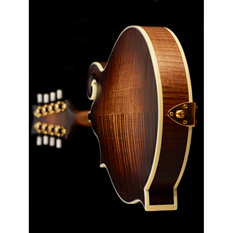 Ortega mandoliin RMF100AVO