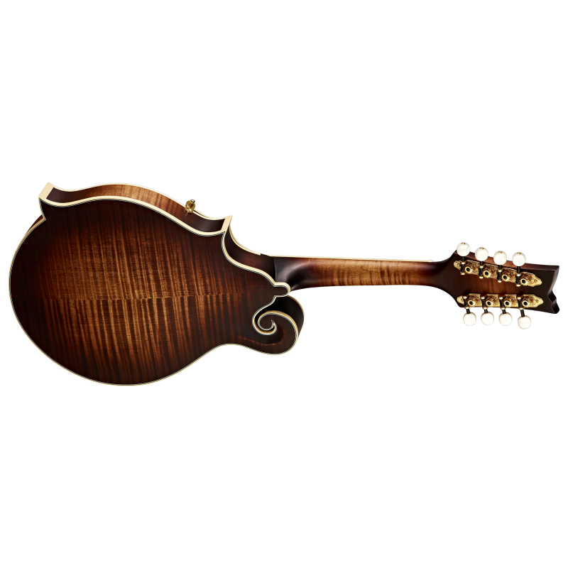 Ortega mandoliin RMF100AVO