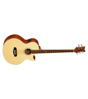 Acoustic Bass Guitar Ortega D1-5