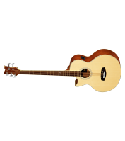 Acoustic Bass Guitar Ortega D1-5LE
