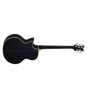 Acoustic Bass Guitar Ortega D1-5-BK