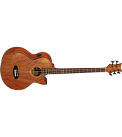 Acoustic Bass Guitar Ortega D3C-5