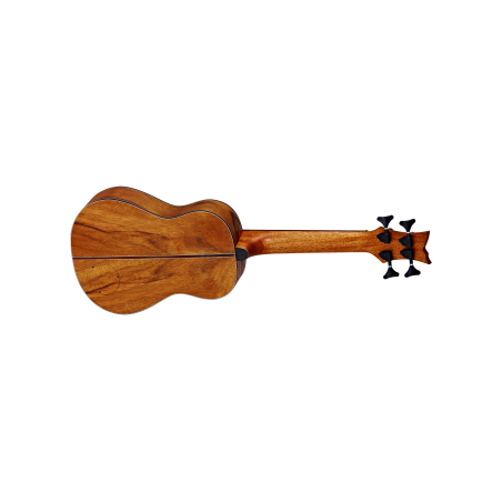 4-keelne elektroakustiline basskitarr Ortega LIZARD-BS-GB