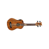 Acoustic Bass Guitar Ortega LIZARD-BS-GB