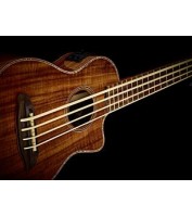 Acoustic Bass Guitar Ortega CAIMAN-FL-GB