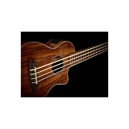 Acoustic Bass Guitar Ortega CAIMAN-FL-GB
