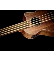 Acoustic Bass Guitar Ortega CAIMAN-FL-GB