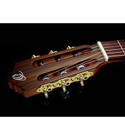 Electro acustic classical guitar STRIPED SUITE C/E