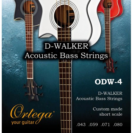 Akustilise basskitarri keeled Ortega ODW-4