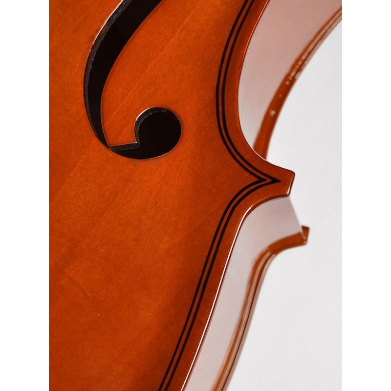 Leonardo LC-1018 Basic series cello outfit 1/8