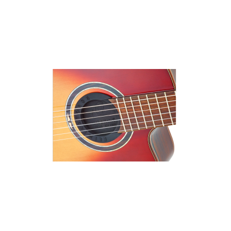 Ortega ELIMINATOR100
