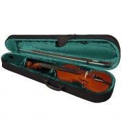 Violin Case Hora Student
