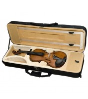 Violin Case Hora Prof
