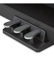 Medeli DP250