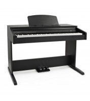 Medeli DP250
