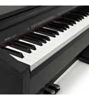 Medeli DP250