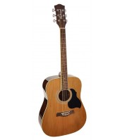 Richwood acoustic guitar RD-12