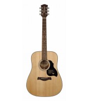 Richwood Master seeria käsitööna valmistatud akustiline kitarr D-40