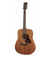 Richwood Master seeria käsitööna valmistatud akustiline kitarr D-50