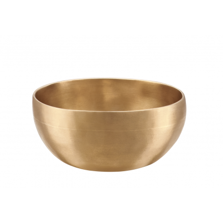 Laulev kauss Meinl U-400