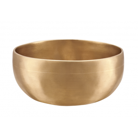 Laulev kauss Meinl U-500