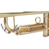 Trumpet Bb with case