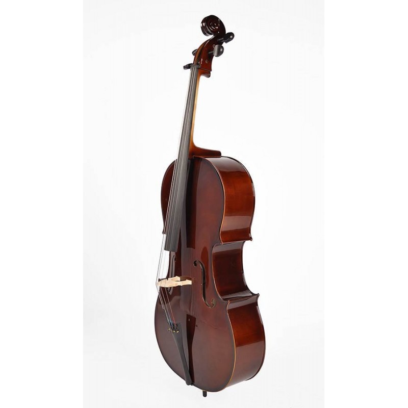 Leonardo Basic series cello outfit 1/2 LC-2012