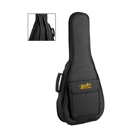 Mandolin bag Boston MD21