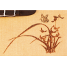 Ukulele Set Ortega RU5